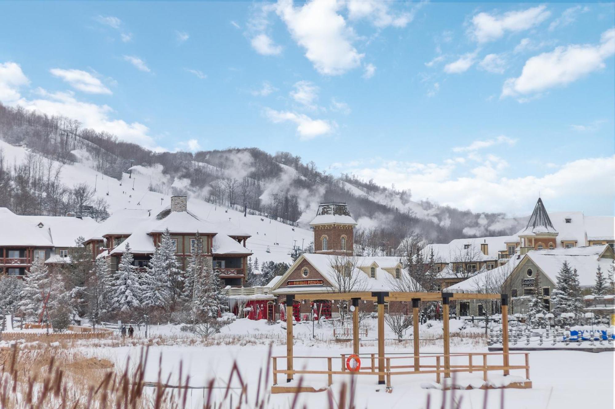 Blue Mtn Getaway In Historic Snowbridge Chalet Villa Collingwood Buitenkant foto