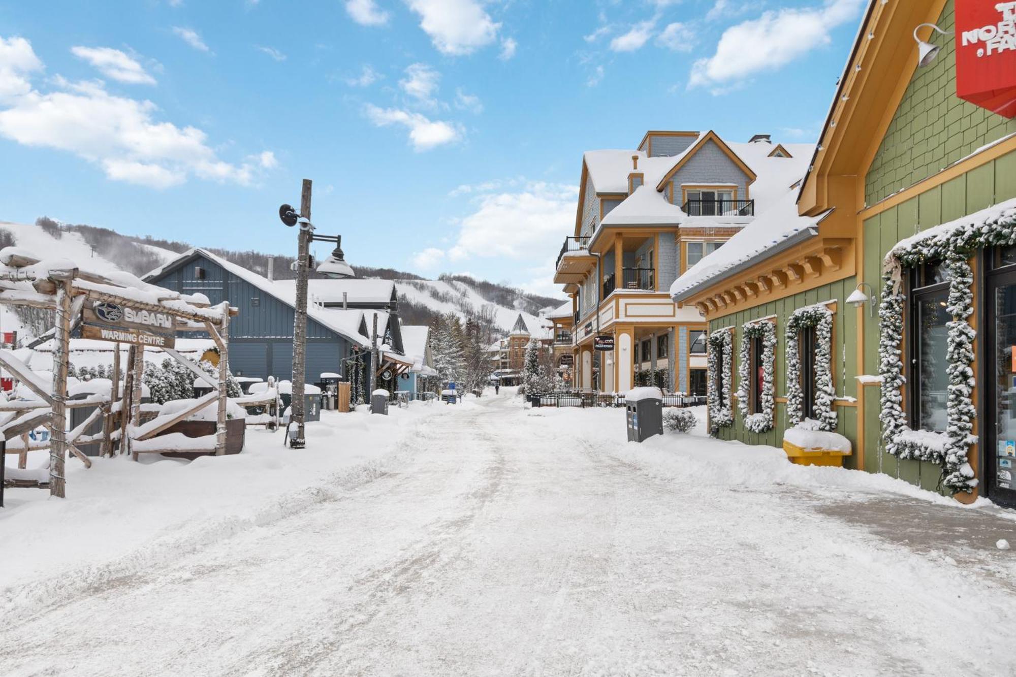 Blue Mtn Getaway In Historic Snowbridge Chalet Villa Collingwood Buitenkant foto